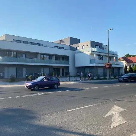 Aranyhid